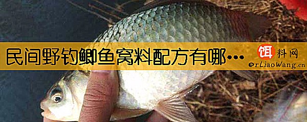 民间野钓鲫鱼窝料配方有哪些