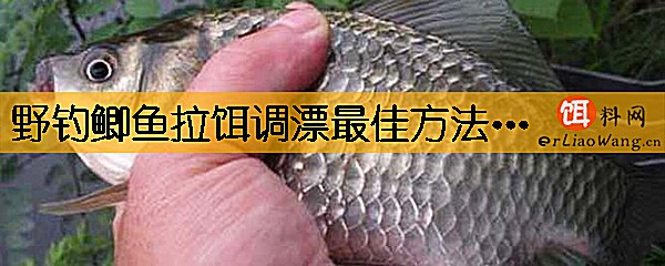 野钓鲫鱼拉饵调漂最佳方法有哪些