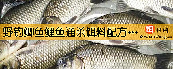 野钓鲫鱼鲤鱼通杀饵料配方有哪些