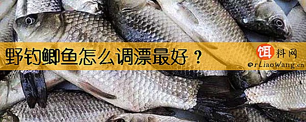 野钓鲫鱼怎么调漂最好