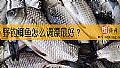 野钓鲫鱼怎么调漂最好？