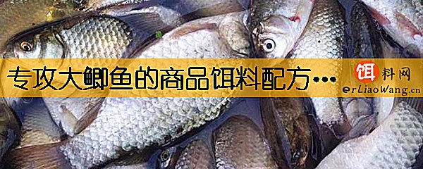 专攻大鲫鱼的商品饵料配方有哪些