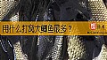 《用什么打窝大鲫鱼最多？》封面图