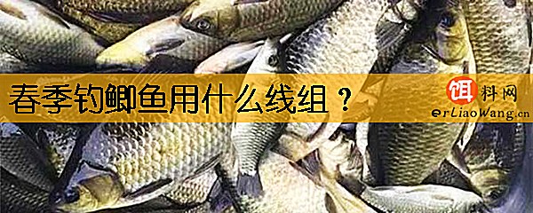 春季钓鲫鱼用什么线组