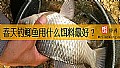 春天钓鲫鱼用什么饵料最好？