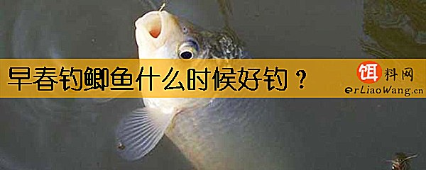 早春钓鲫鱼什么时候好钓
