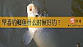 早春钓鲫鱼什么时候好钓？