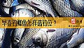 《早春钓鲫鱼怎样选钓位？》封面图