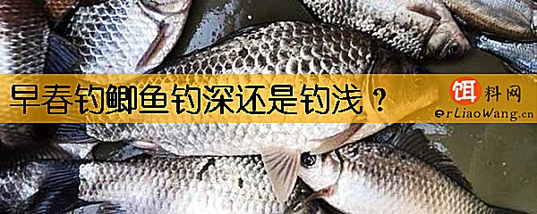 早春钓鲫鱼钓深还是钓浅