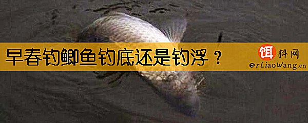 早春钓鲫鱼钓底还是钓浮