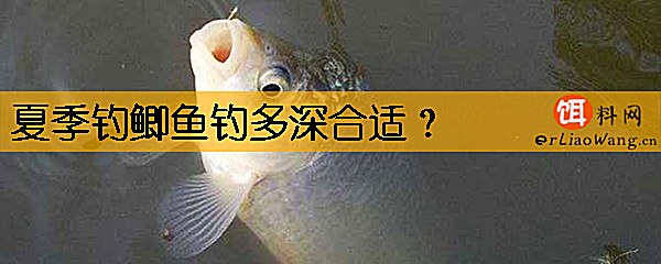 夏季钓鲫鱼钓多深合适