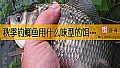 《秋季钓鲫鱼用什么味型的饵料？》封面图