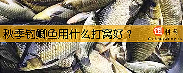 秋季钓鲫鱼用什么打窝好