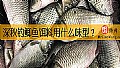 《深秋钓鲫鱼饵料用什么味型？》封面图