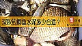 《深秋钓鲫鱼水深多少合适？》封面图