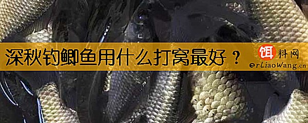 深秋钓鲫鱼用什么打窝最好