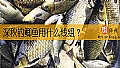 深秋钓鲫鱼用什么线组？