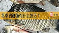 冬季钓鲫鱼有什么技巧？