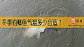 冬季钓鲫鱼气温多少合适？