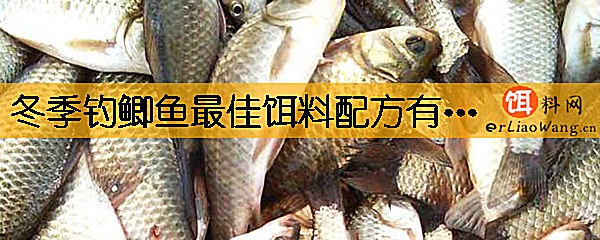 冬季钓鲫鱼最佳饵料配方有哪些