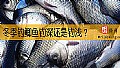 冬季钓鲫鱼钓深还是钓浅？