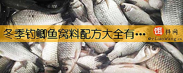 冬季钓鲫鱼窝料配方大全有哪些