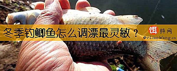 冬季钓鲫鱼怎么调漂最灵敏