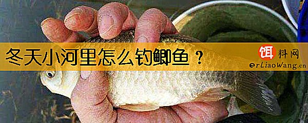 冬天小河里怎么钓鲫鱼