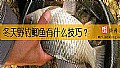《冬天野钓鲫鱼有什么技巧？》封面图