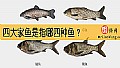 《四大家鱼是指哪四种鱼？》封面图