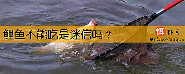 鲤鱼不能吃是迷信吗