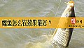 《鲤鱼怎么钓效果最好？》封面图