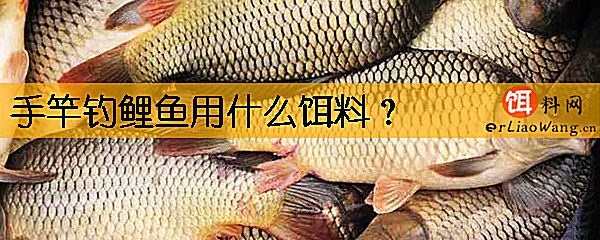 手竿钓鲤鱼用什么饵料