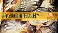 《手竿钓鲤鱼用什么饵料？》封面图