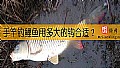 《手竿钓鲤鱼用多大的钩合适？》封面图