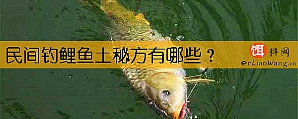 民间钓鲤鱼土秘方有哪些