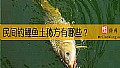 民间钓鲤鱼土秘方有哪些？