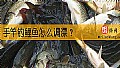 手竿钓鲤鱼怎么调漂？