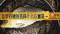 春季钓鲤鱼选择什么位置最好？