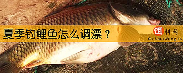 夏季钓鲤鱼怎么调漂