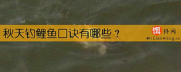 秋天钓鲤鱼口诀有哪些
