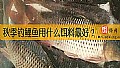 《秋季钓鲤鱼用什么饵料最好？》封面图