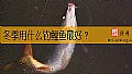 《冬季用什么钓鲤鱼最好？》封面图
