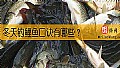 冬天钓鲤鱼口诀有哪些？