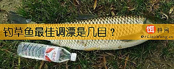 钓草鱼最佳调漂是几目