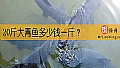 《20斤大青鱼多少钱一斤？》封面图