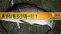 青鱼价格多少钱一斤？