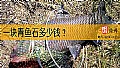 《一块青鱼石多少钱？》封面图