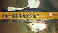 《青鱼一亩地能养多少条？》封面图