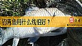 钓青鱼用什么线组好？